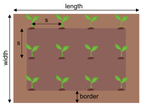 Planting depth and spacing