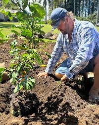 Planting your fruit trees