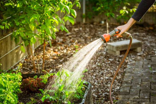 Watering