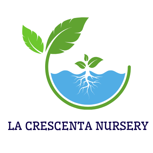 La Crescenta Nursery